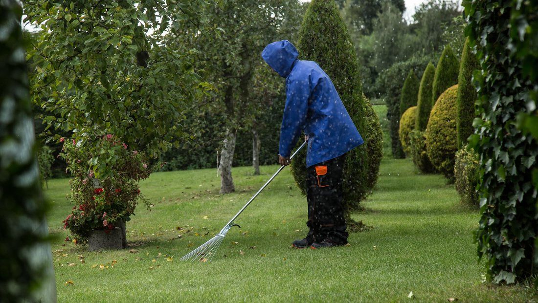 A person raking fallen leaves in a garden on an overcast autumn day