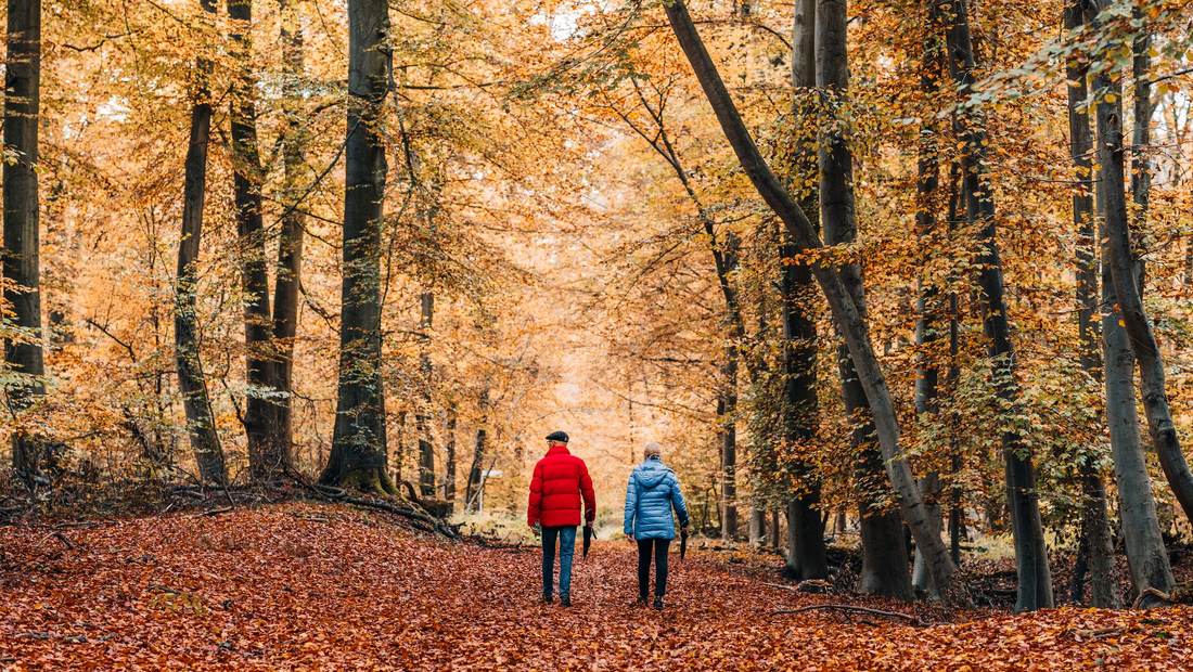 Two people walking a leaf-covered path through autumn woodland